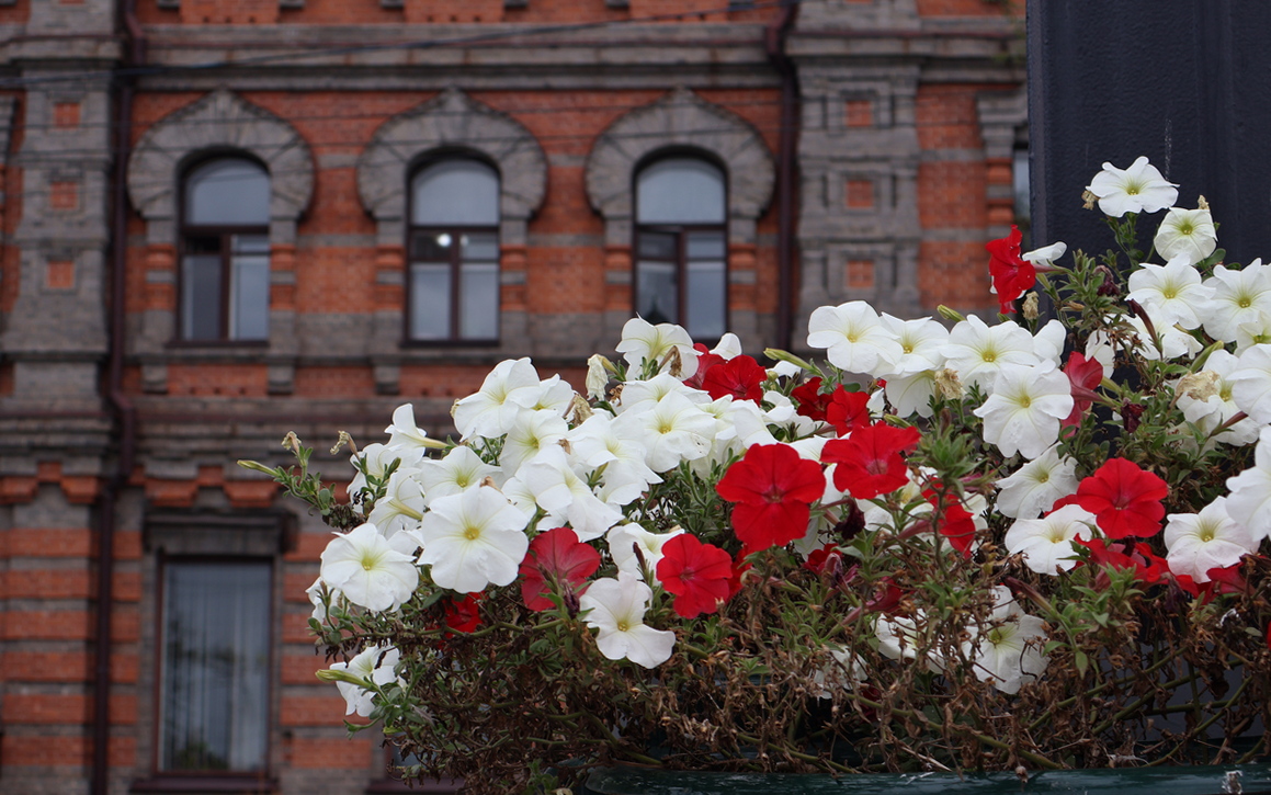 Погода порадует теплом жителей Хабаровска