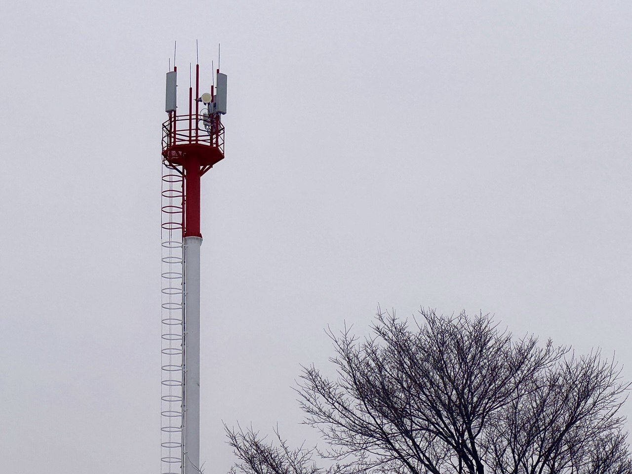 Кия, Павленково и База Дрофа получили доступ к 4G МТС