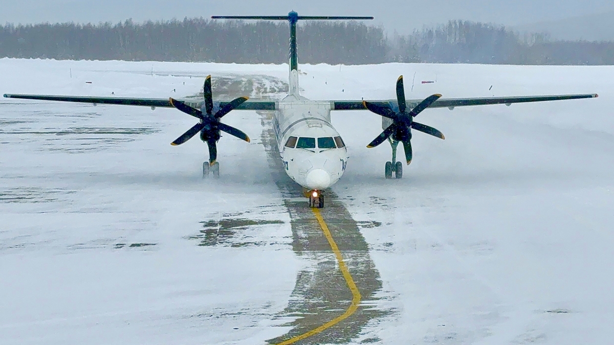 Хабаровчане смогут чаще летать к китам и белым медведям