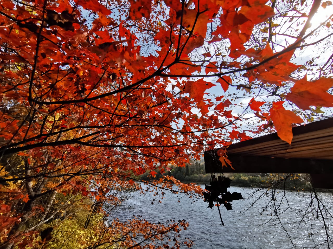Тепло на выходных стало рекордным для Хабаровска