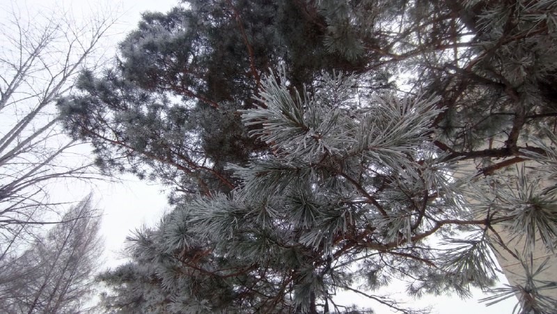 Снег и плюсовая температура ждёт юг Хабаровского края
