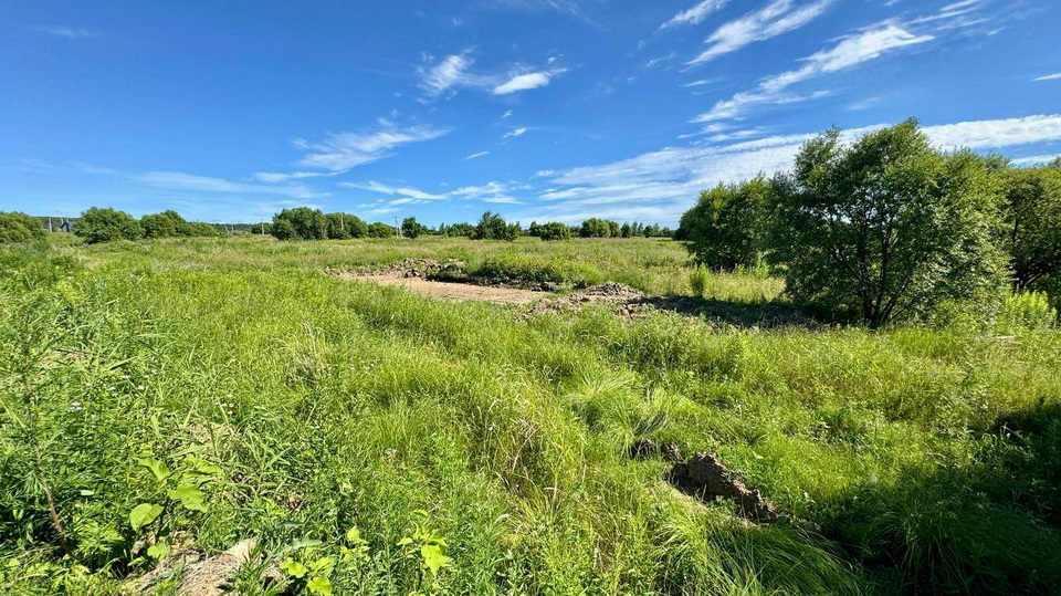 В Хабаровском крае группу злоумышленников задержали за махинации с землёй