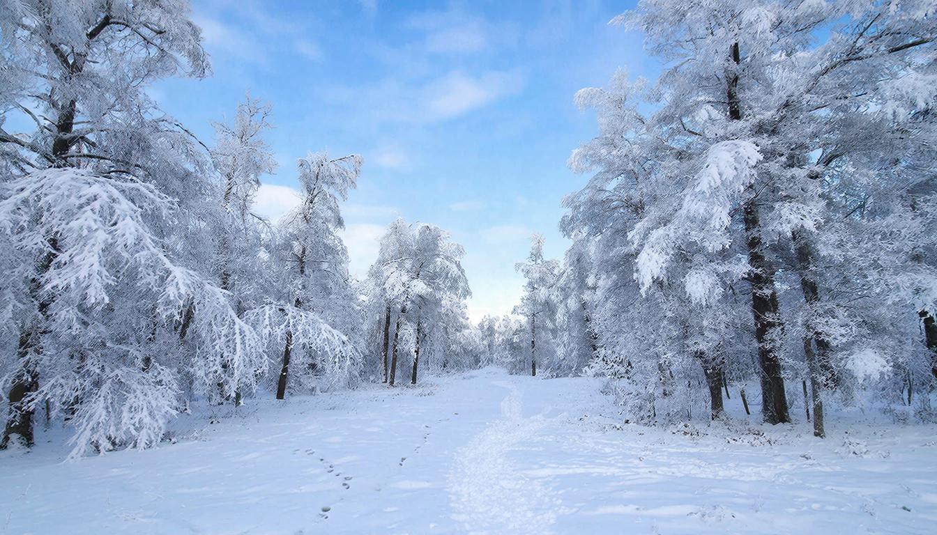 Праздники сегодня: День заповедников и национальных парков
