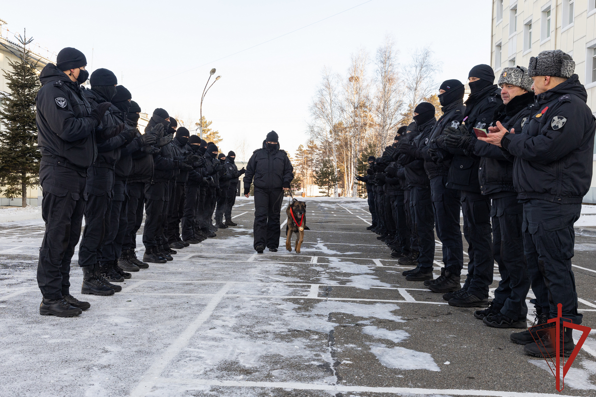 Хабаровские росгвардейцы с почестями проводили на пенсию служебного пса Жека