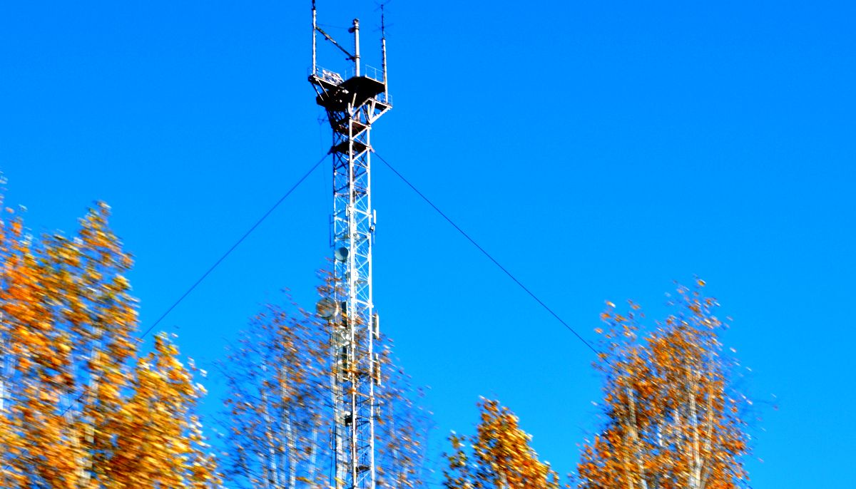 МТС прокачала интернет для жителей частного сектора Комсомольска-на-Амуре