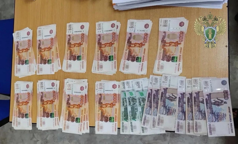 Хабаровчанку будут судить за кражу 2 млн рублей у слепого участника СВО
