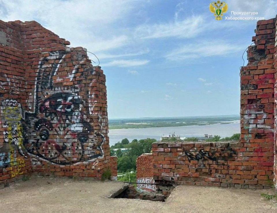Хабаровчанина будут судить за травму дочери в заброшенной «Башне Архитектора»