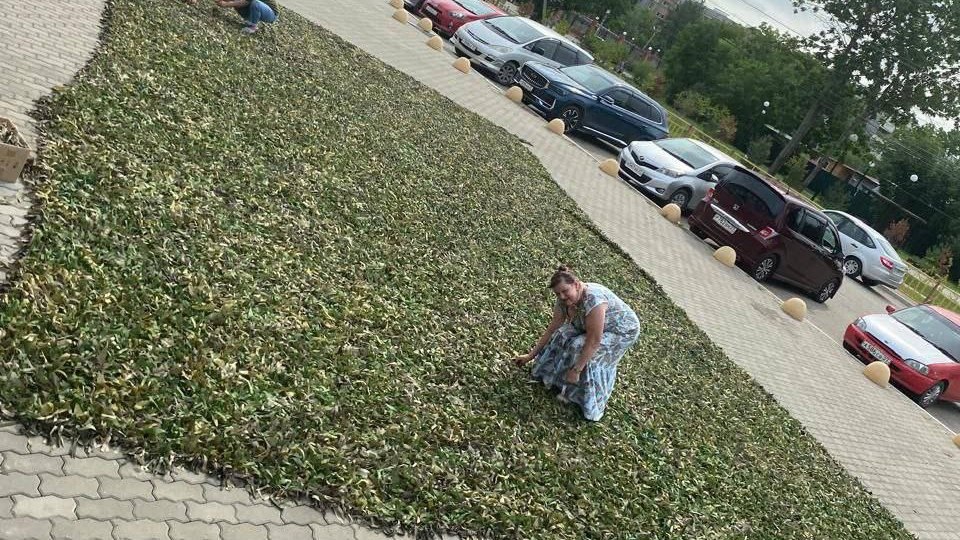 В хабаровской Берёзовке сплели для бойцов СВО огромную маскировочную сеть