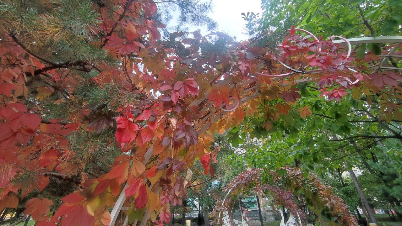 Впервые с весны в Хабаровск возвращаются минусовые температуры