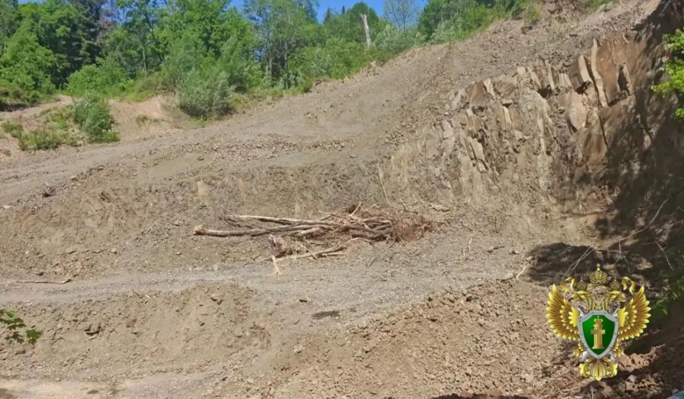 В Хабаровском крае лесозаготовитель заплатил 500 тыс рублей за добычу ископаемых