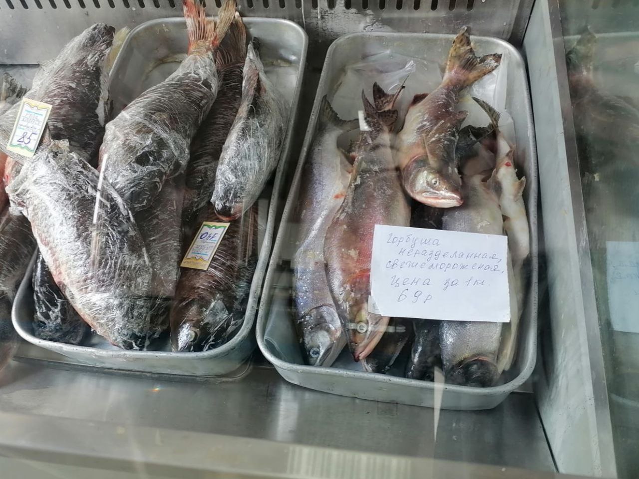 В Николаевске-на-Амуре в продажу поступила свежая доступная рыба 