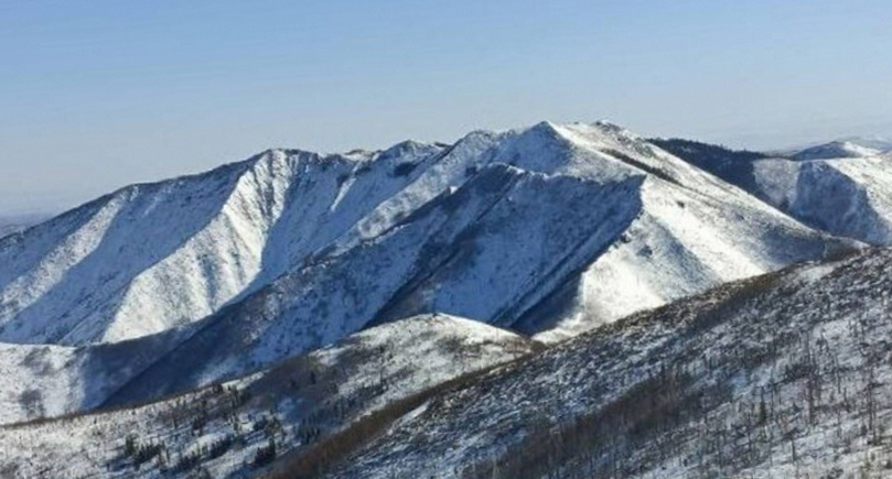 Хабаровчан на выходных приглашают на конное шоу