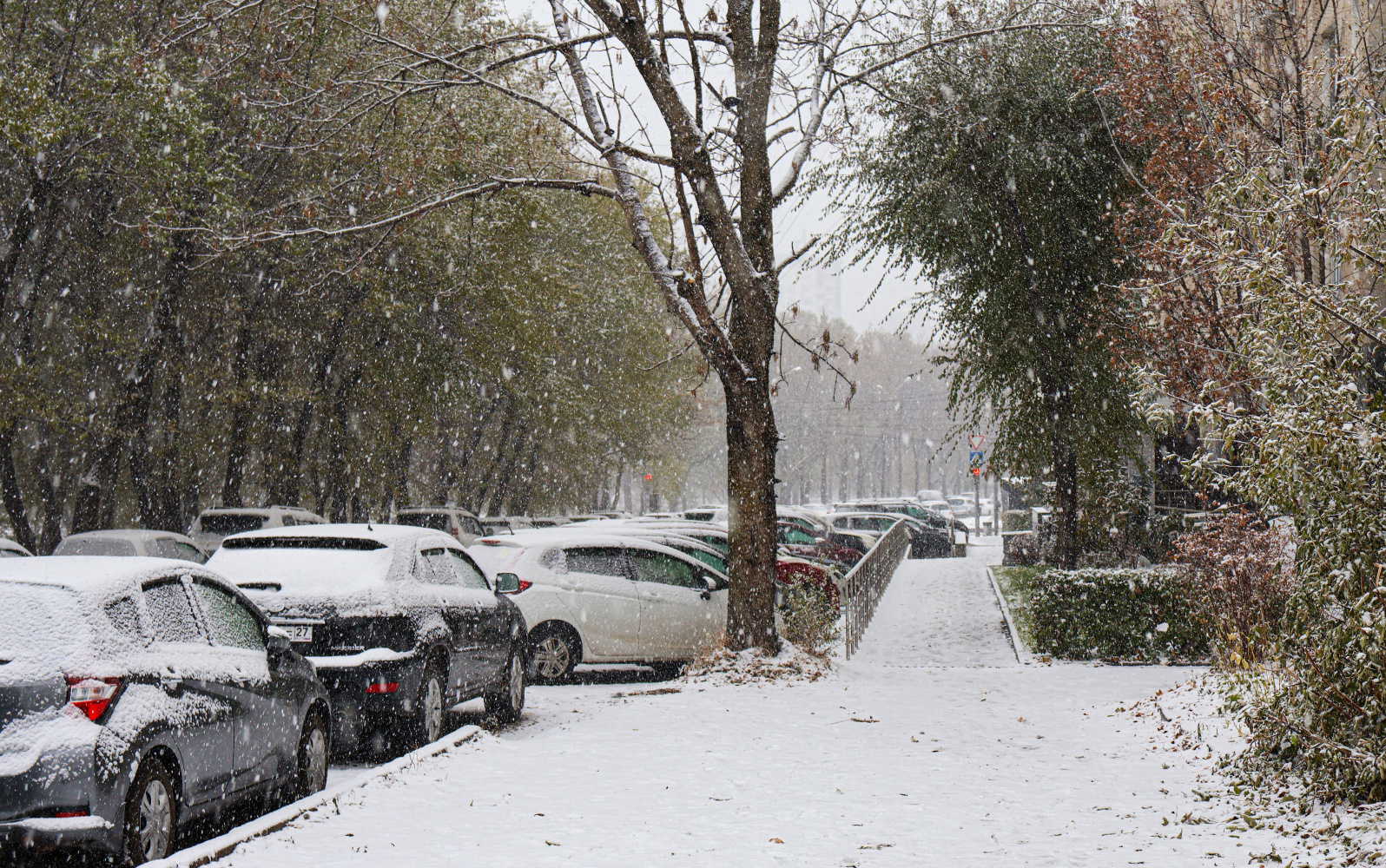 Вслед за снегом в Хабаровский край придут холода