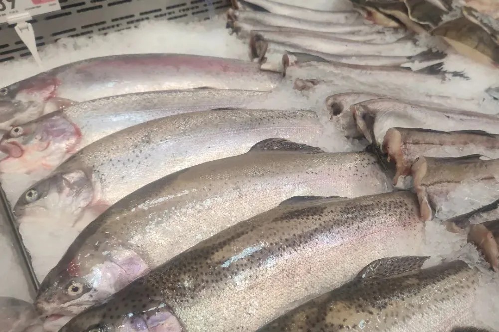 Владимир Путин выразил недовольство уровнем потребления рыбы в России