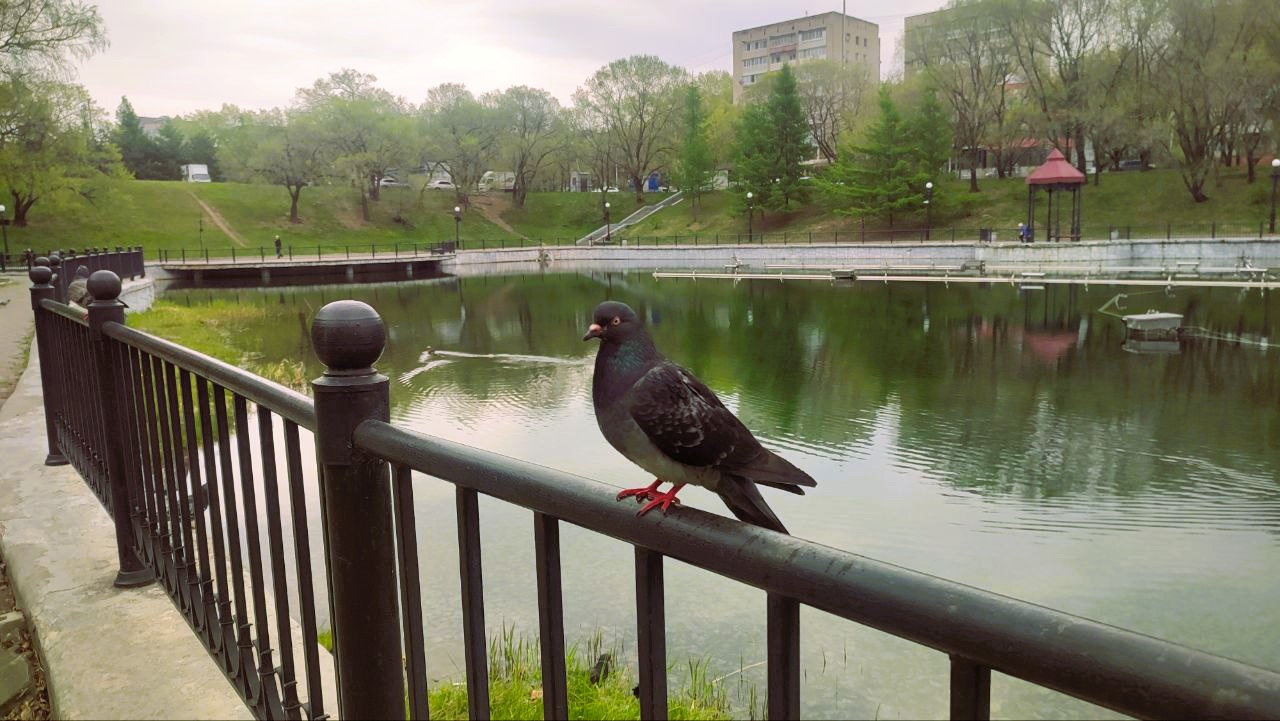 Разогретый воздух в Хабаровском крае остудит заток холода