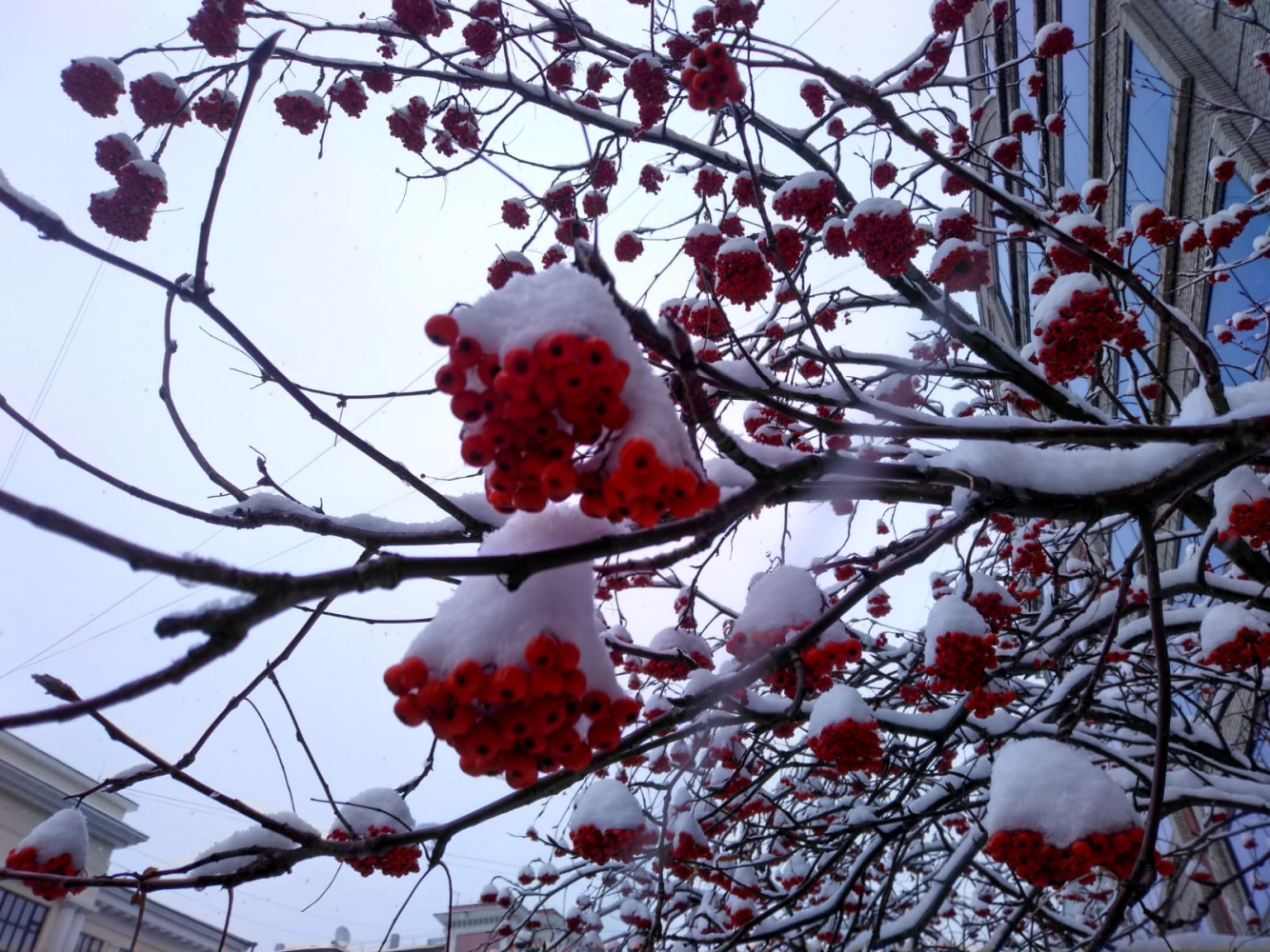 Небольшой снег в пятницу сохранится местами в Хабаровском крае