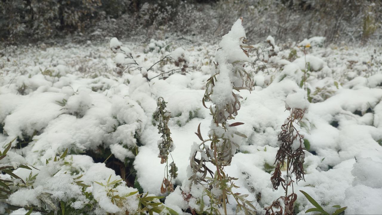 За циклоном циклон: в Хабаровском крае вновь ожидается непогода