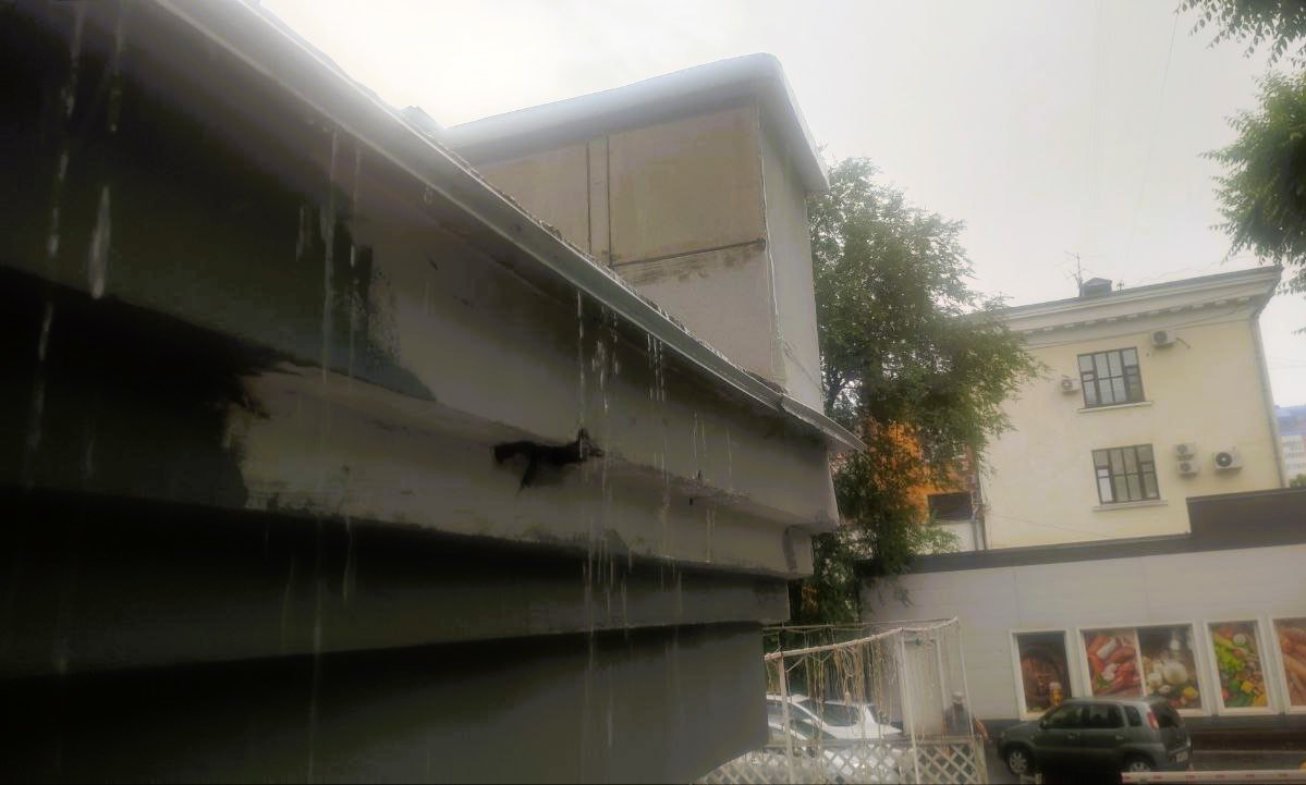 Прогноз на 4 июля: в Хабаровском крае ночью дожди, а днём погода наладится