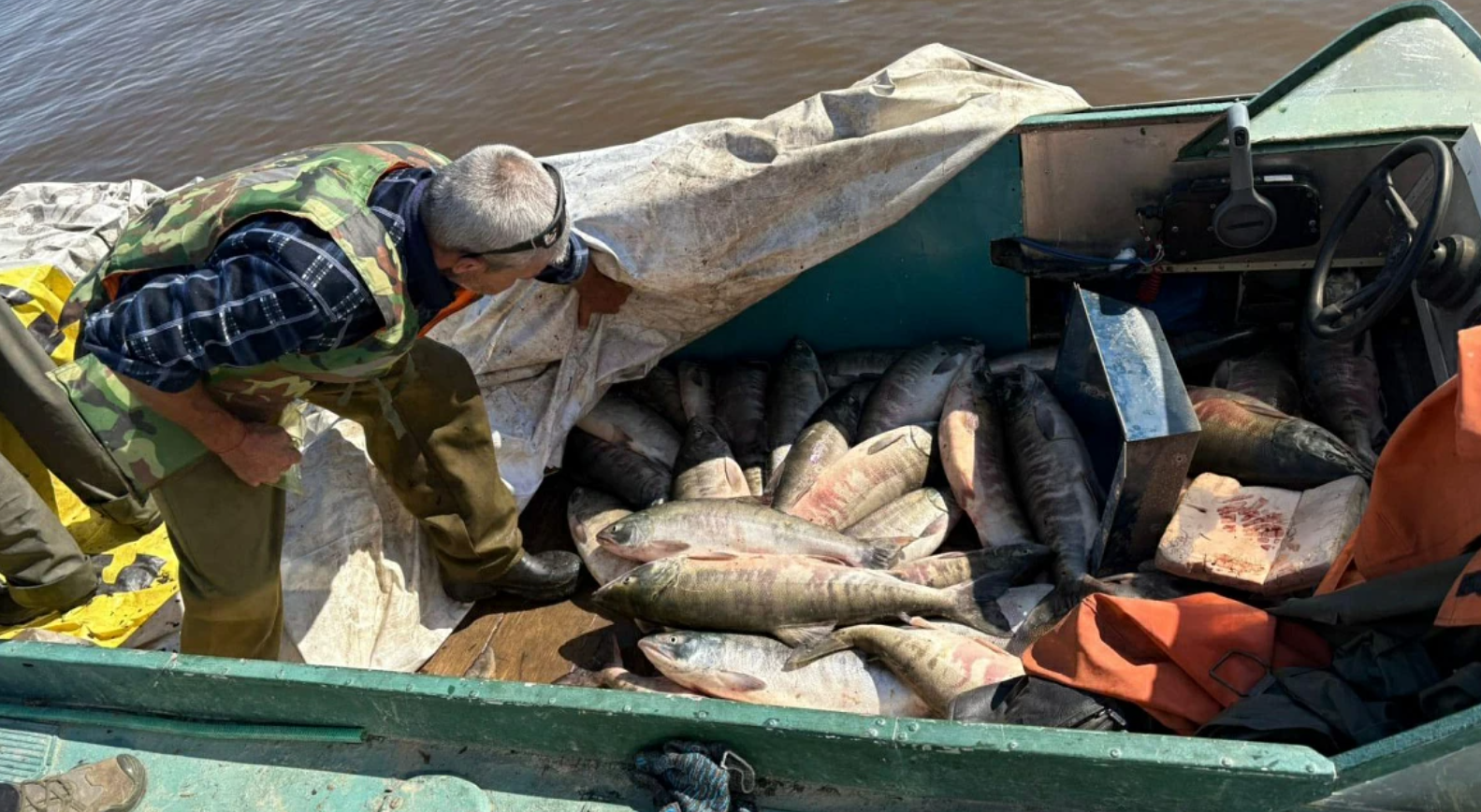 Хабаровская полиция изъяла у трёх рыбаков незаконно пойманной кеты на 1 млн рублей