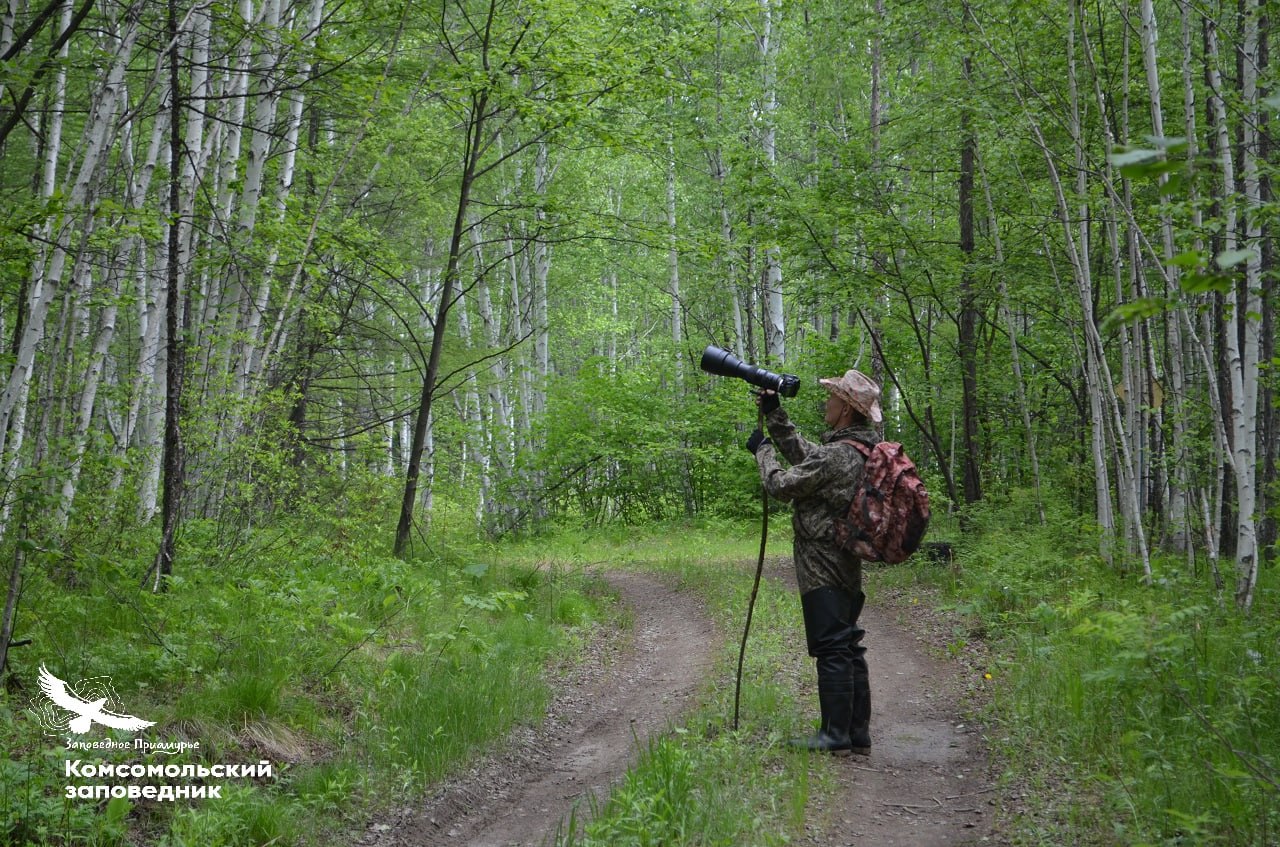 Куда пропали птицы из Комсомольского заповедника в Хабаровском крае