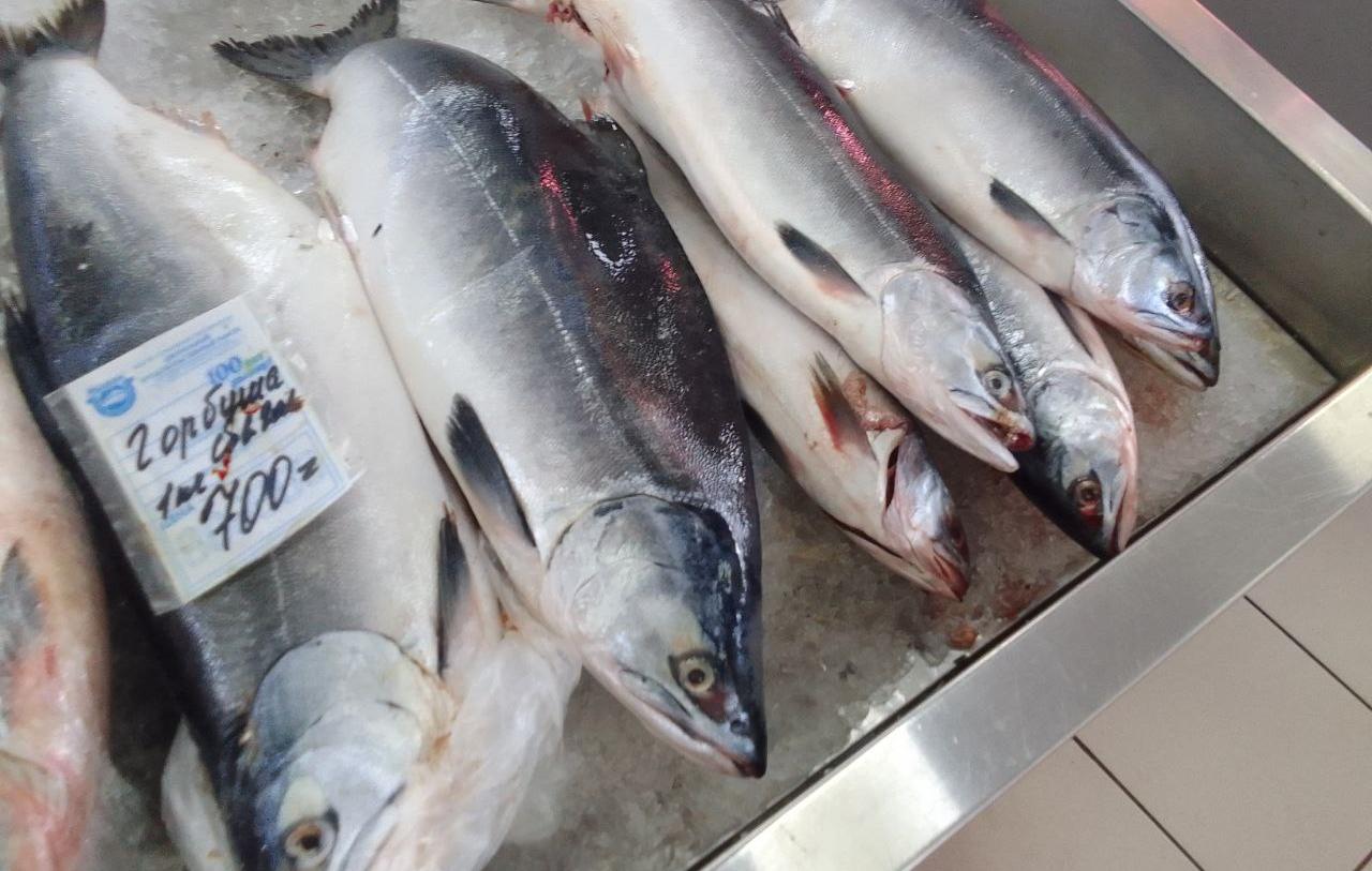 Горбуша улова 2025 года появилась на рынке в Хабаровске