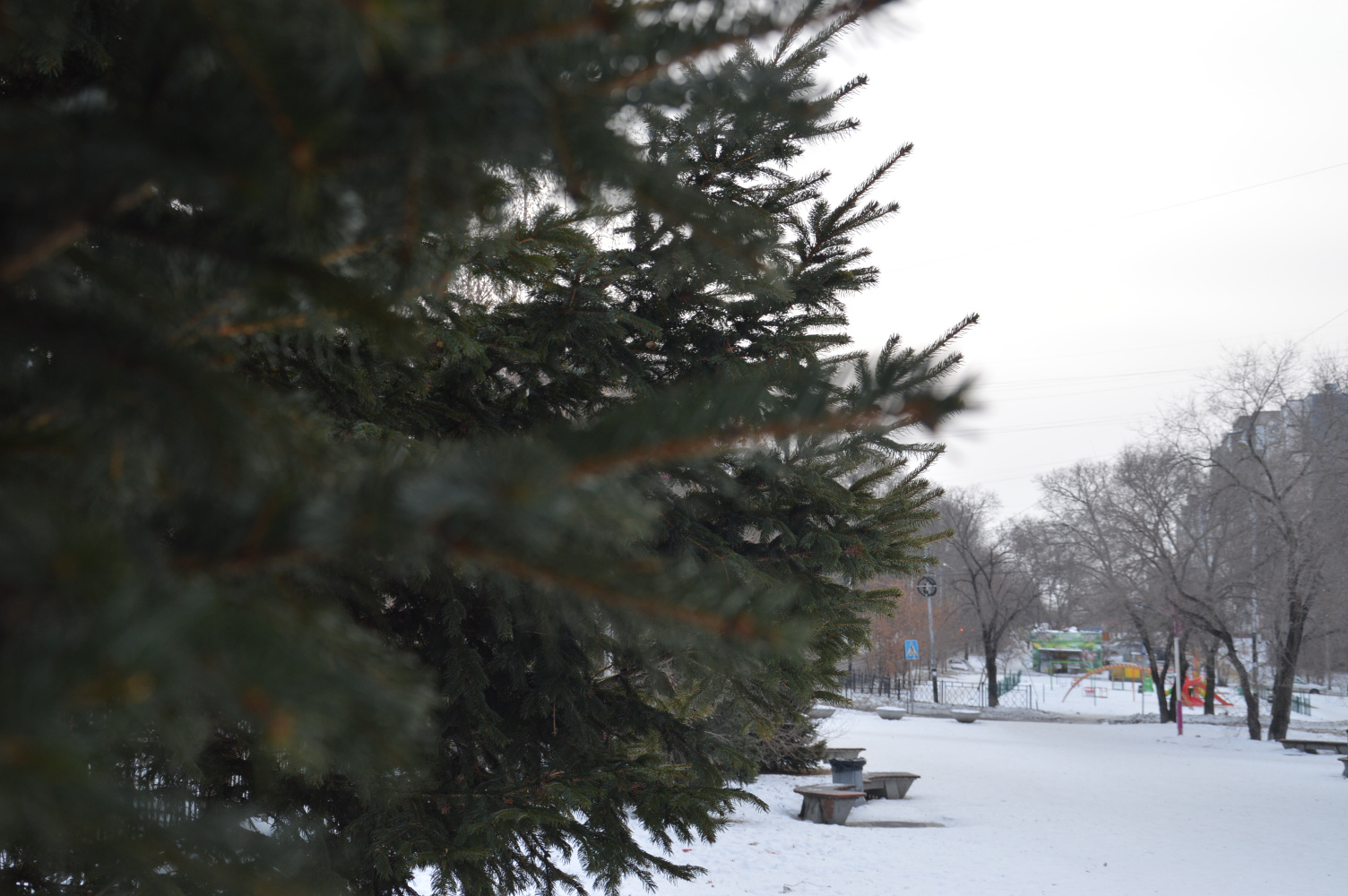 Морозы до минус 30 ещё держатся в Хабаровском крае