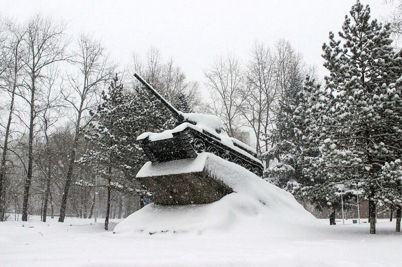 Хабаровчане голосуют за военные памятники для генеральной уборки