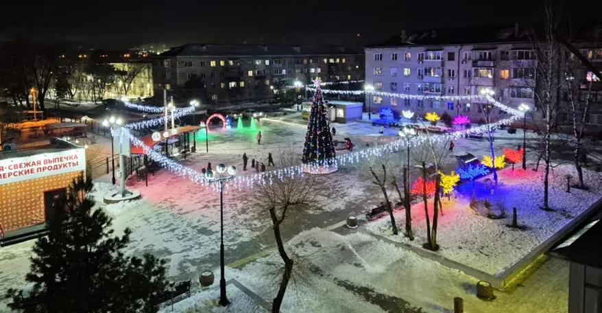 Новогодняя ель из Хабаровского края борется за статус лучшей в России