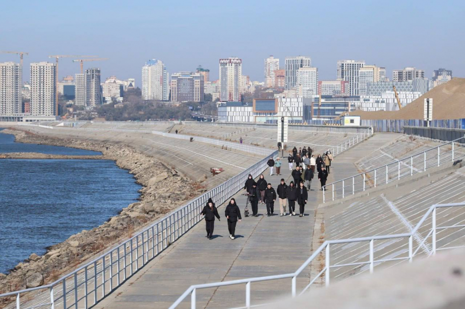 Дмитрий Демешин обсудил планы благоустройства дамбы Южного округа Хабаровска