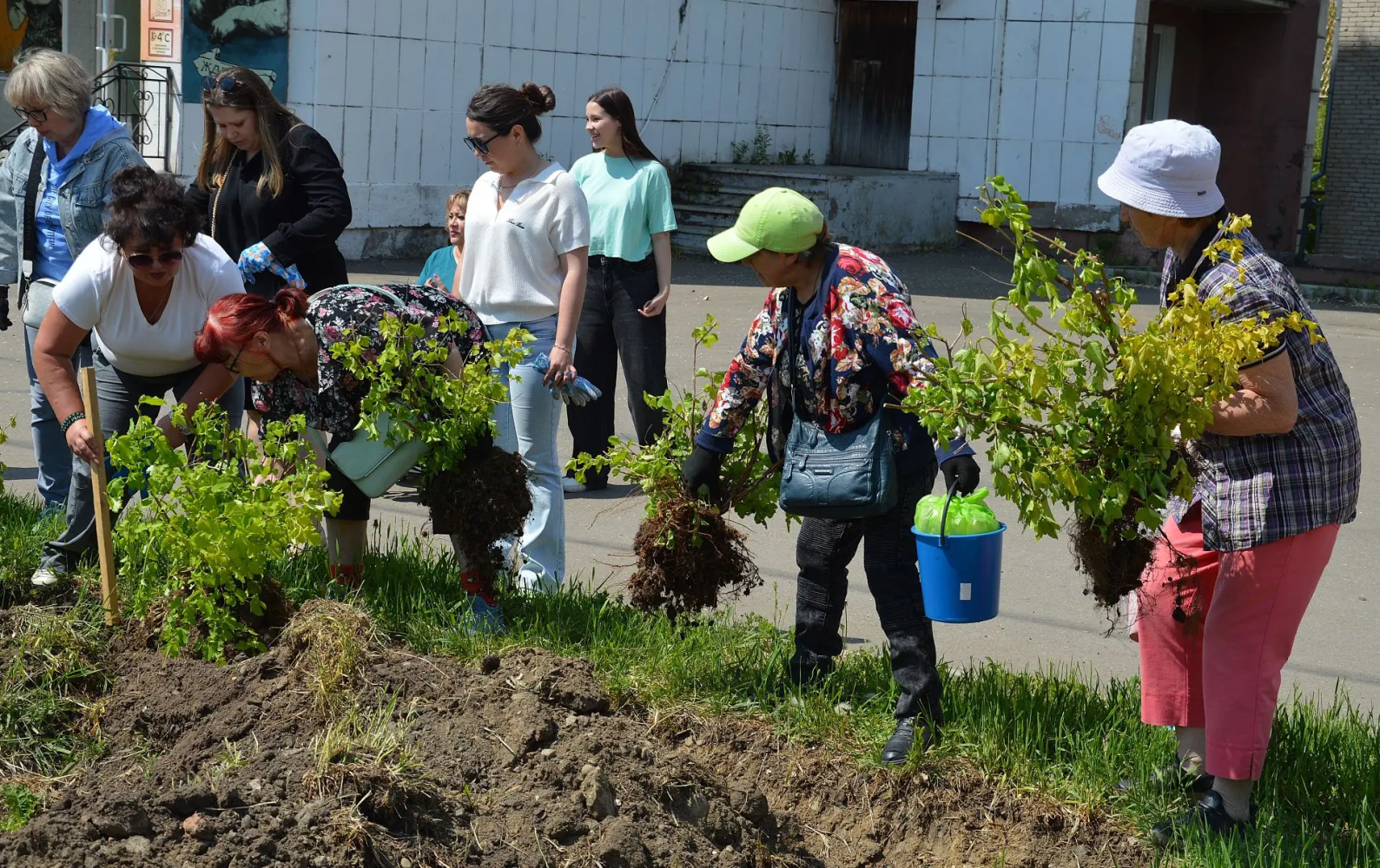 Набережную Амурска озеленили всем городом