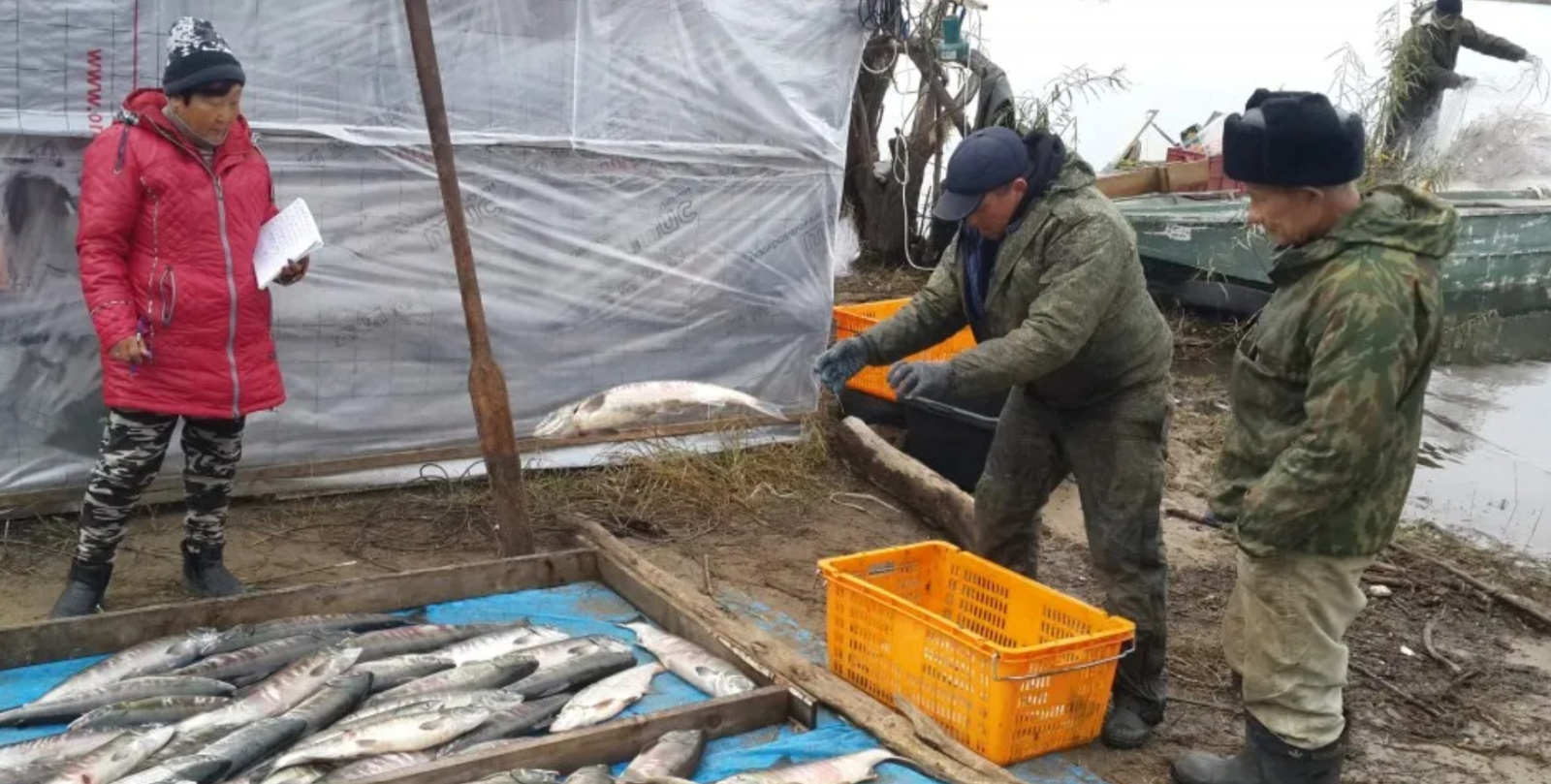 КМНС в Хабаровском крае могут остаться без рыбы