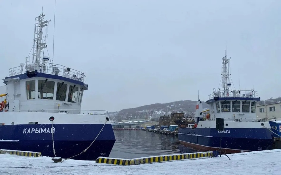 В Хабаровском крае рыбаки в 2025 году смогут добыть 360 тыс тонн минтая
