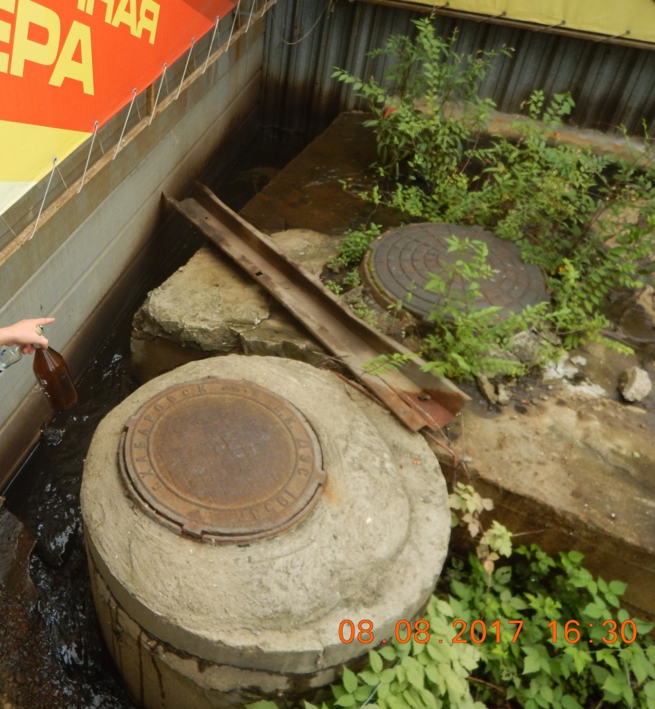 dscn4248.jpg