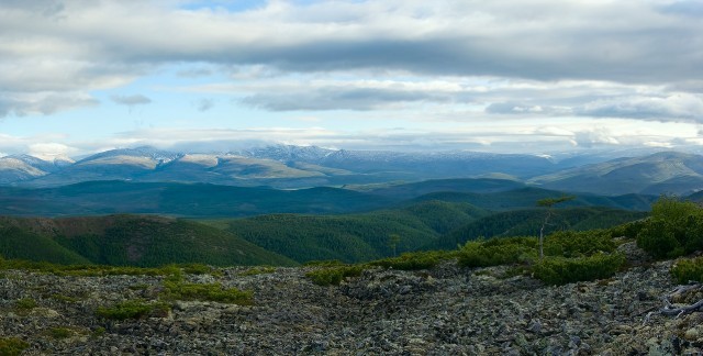 155029-640x324.jpg
