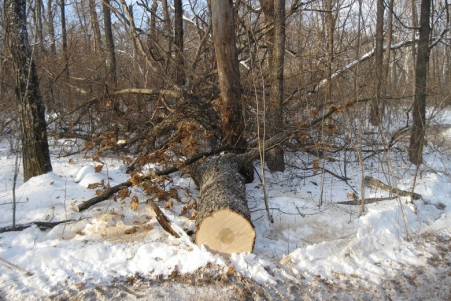 3943_x922.jpg
