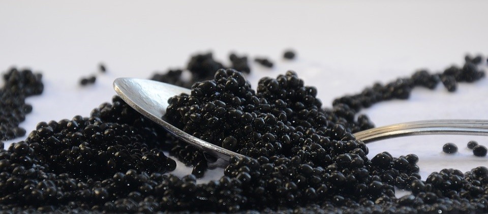 black-caviar-2315835_960_720.jpg