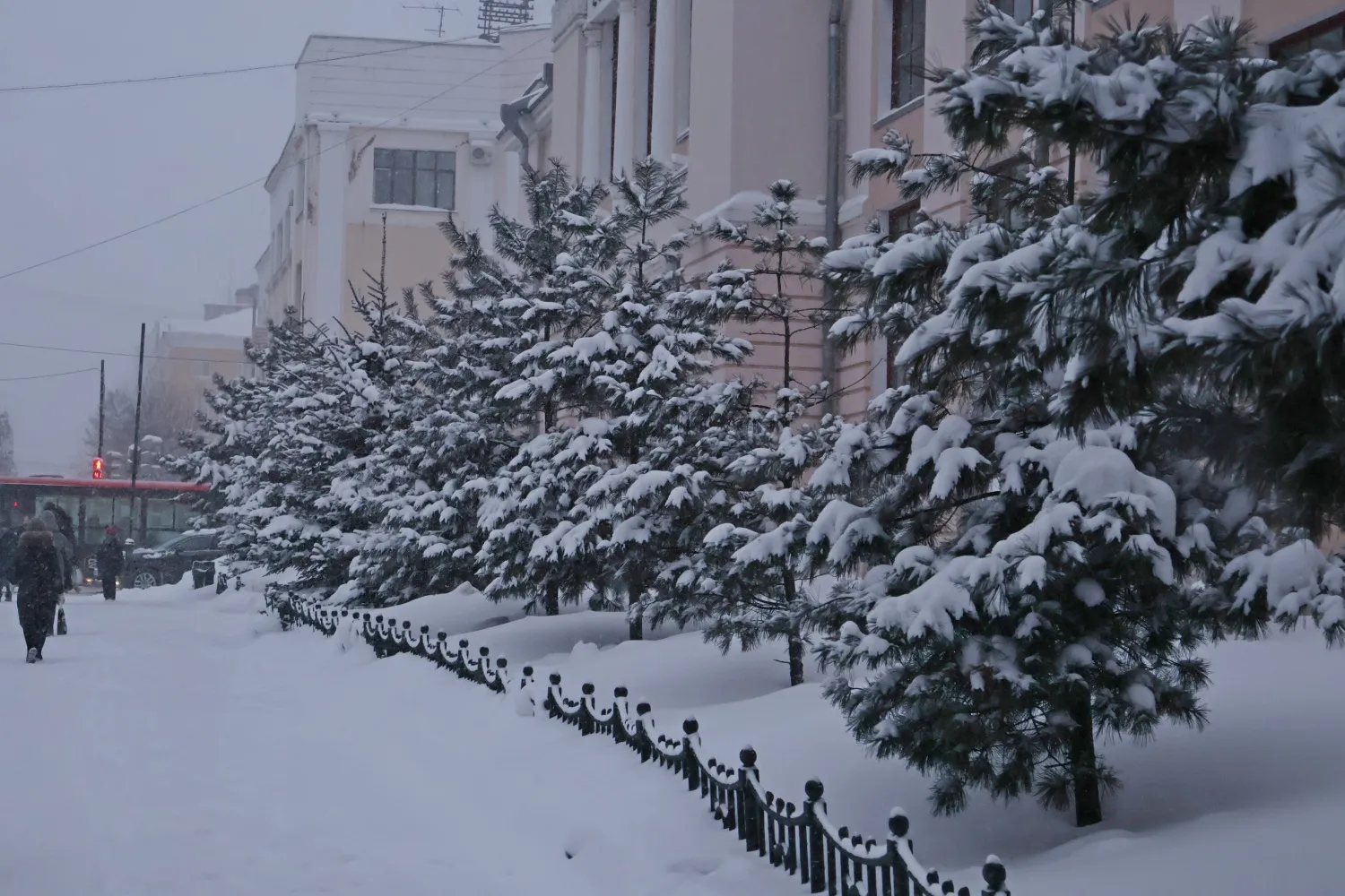 Хабаровский край припорошит, а местами накроет январским снегом 