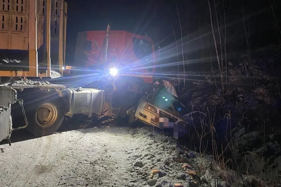 Два человека погибли в Хабаровском крае в ДТП с грузовиком