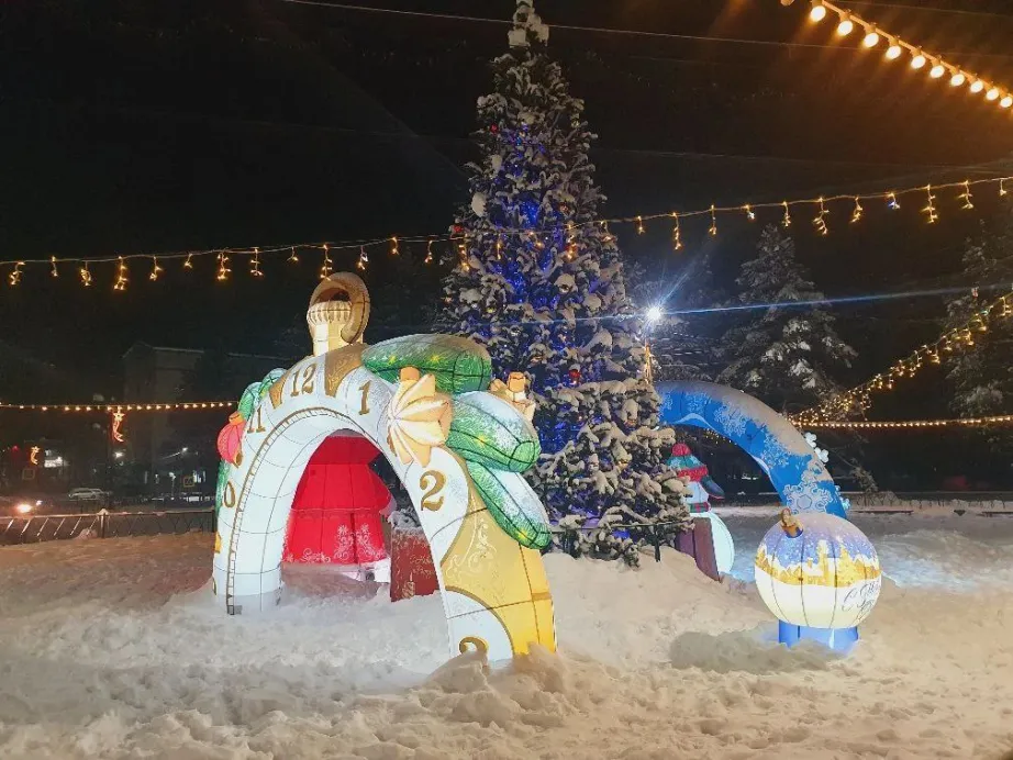 Новогодняя ель из Хабаровского края претендует на звание лучшей в России