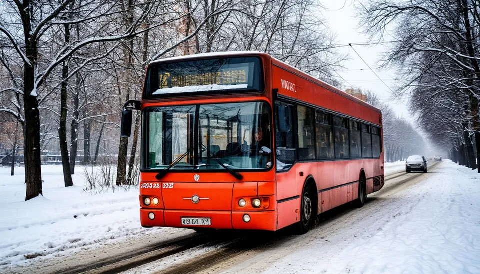 Пенсионерке из Комсомольска-на-Амуре заплатят 250 тысяч рублей за наезд автобуса