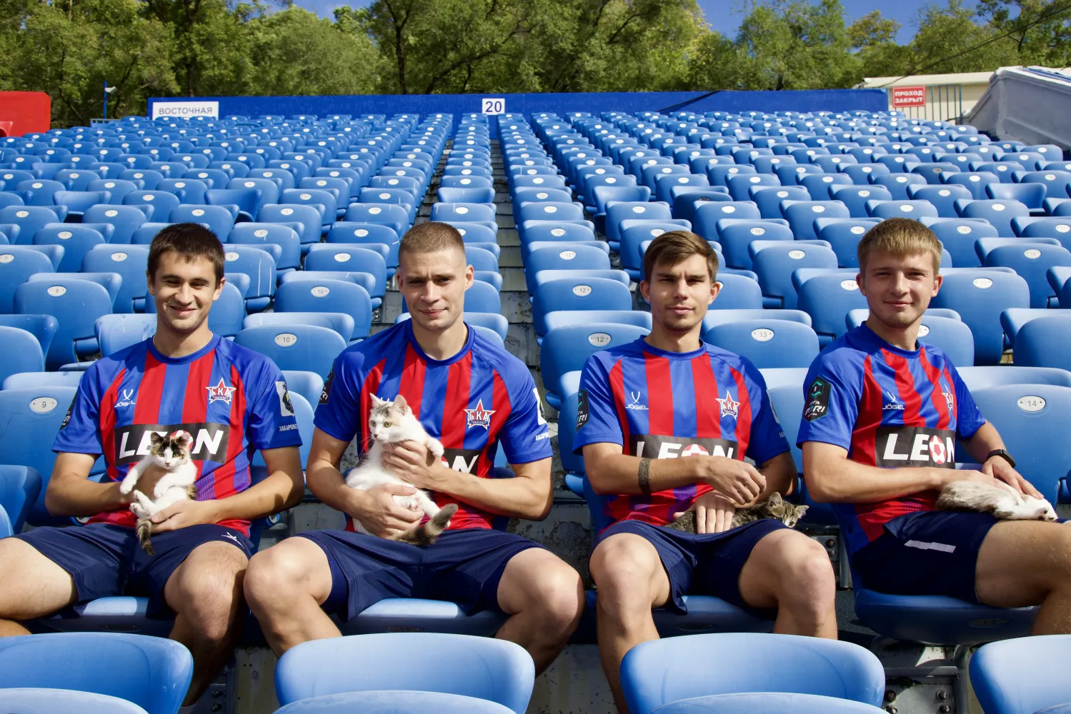 Хабаровские футболисты помогают кошкам обрести новый дом