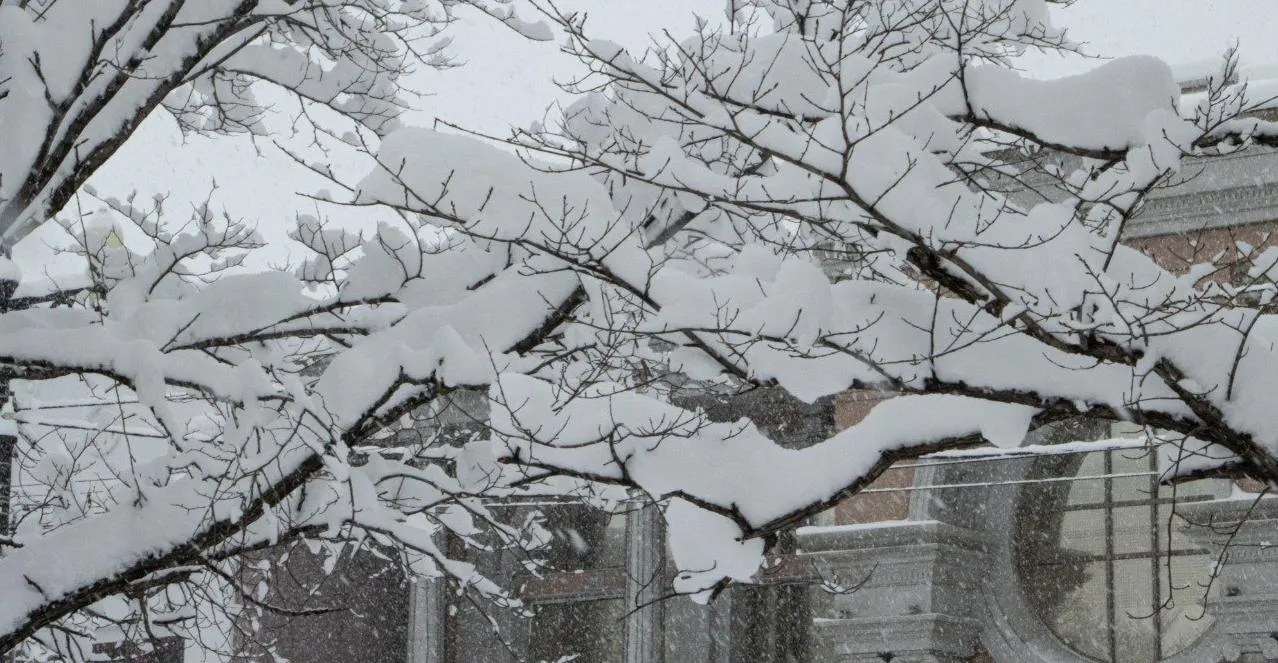 Весна придёт в Хабаровский край с большим опозданием