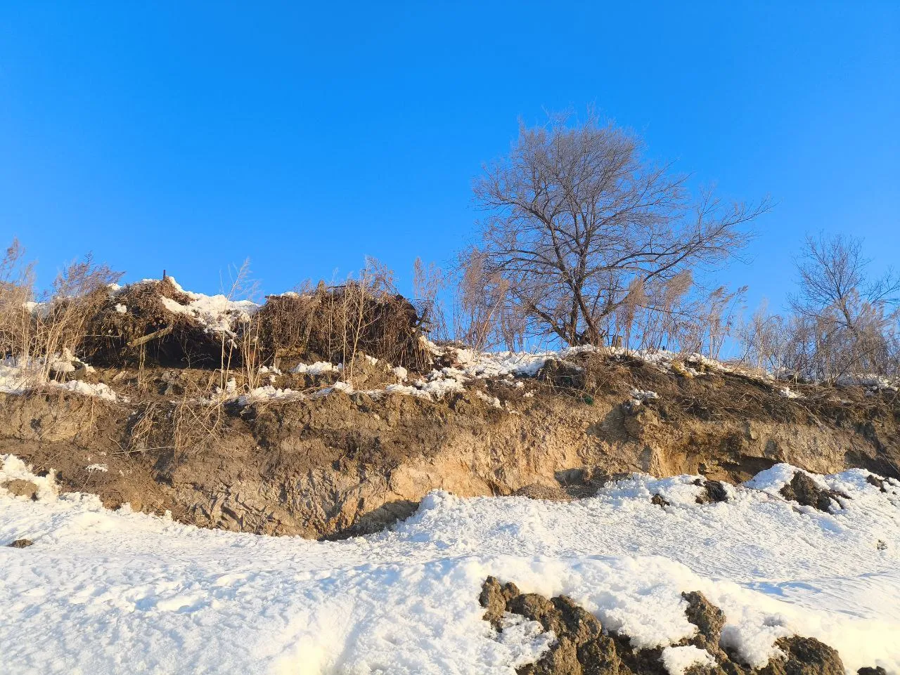 В Хабаровске строители могли уничтожить памятник археологии