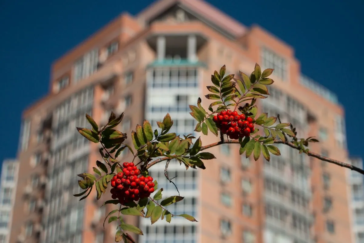 Ипотеку под 2% годовых расширят на новые категории жителей Хабаровского края