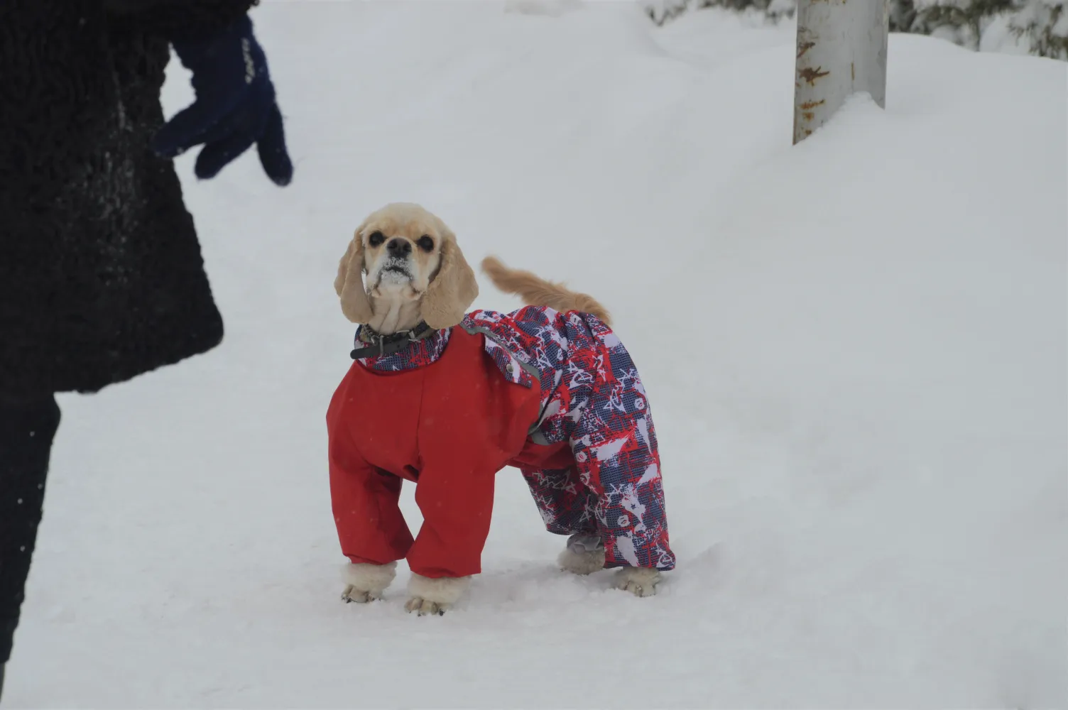 Югу Хабаровского края пообещали студёную ночь