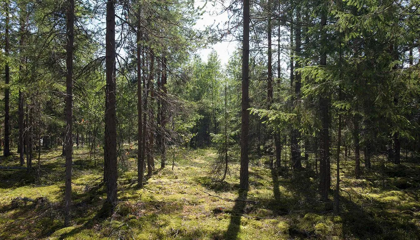 Проекты учёных из Хабаровского края получат федеральную поддержку 