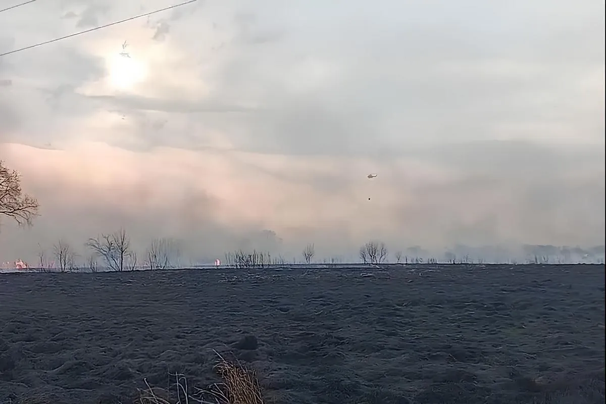 Дачники устроили пожары на островах у Хабаровска