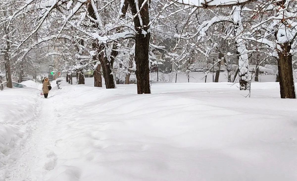 Последняя неделя ноября в Хабаровске начнётся с тёплого понедельника