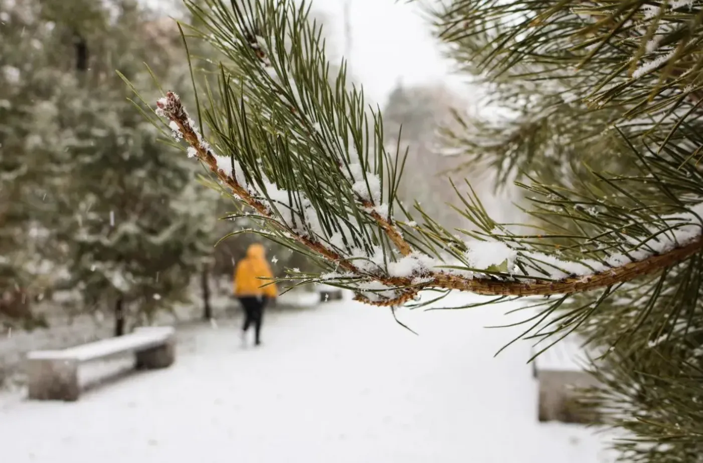 Самый тёплый выходной в Хабаровске выпадет на День народного единства