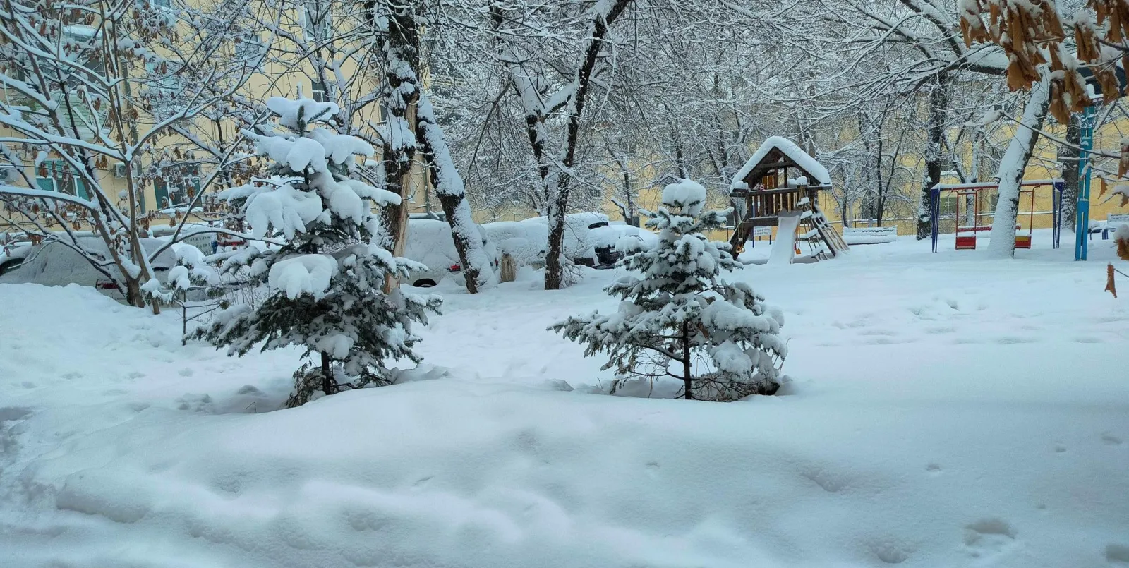 Хабаровские морозы постепенно приближаются к якутским  